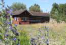 Bunte Wildblumenwiese mit einem großen Bienenhaus aus Holz.